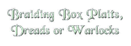 Braiding box plaits, dreads or warlocks